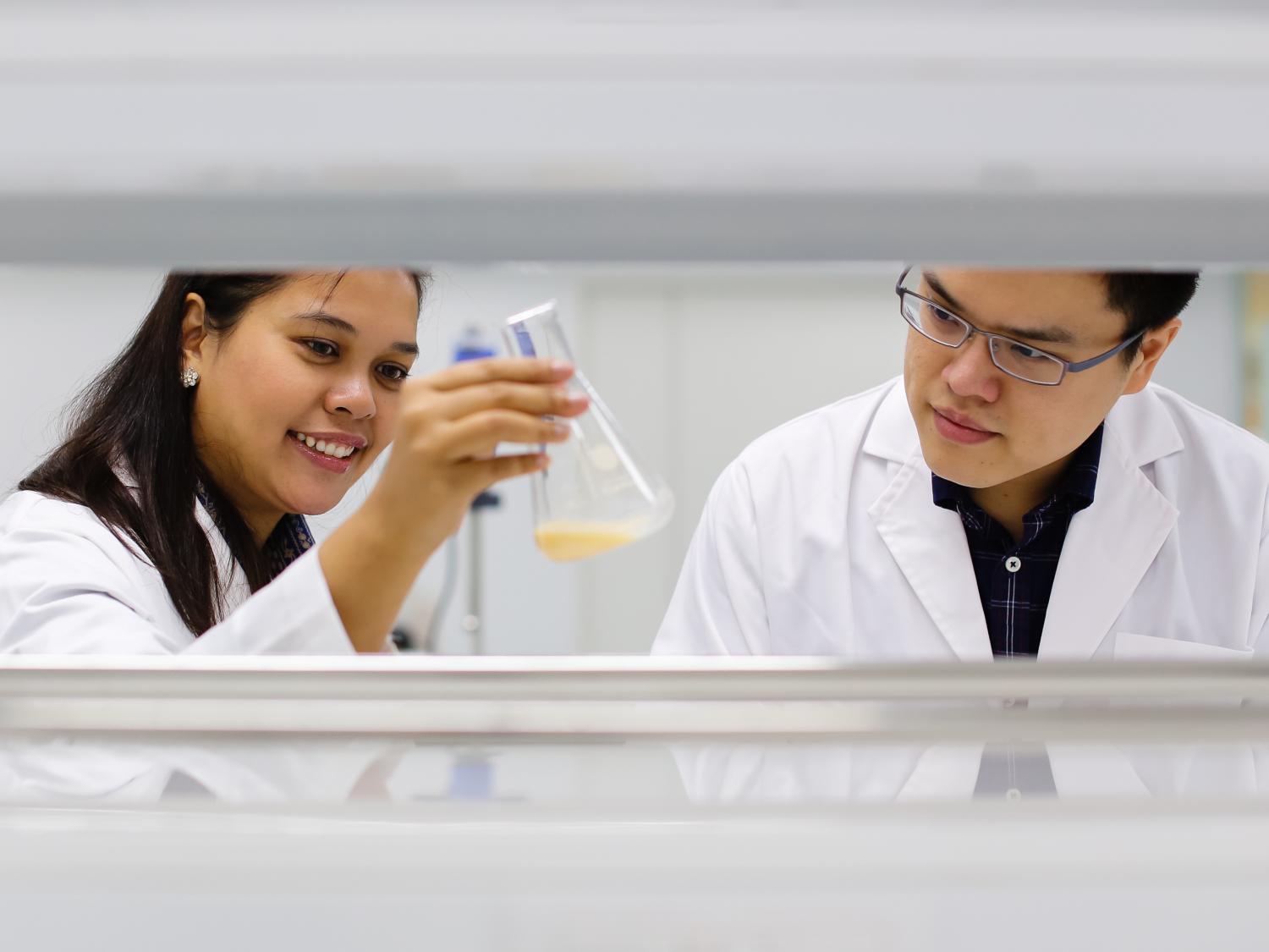 R&D employees at work