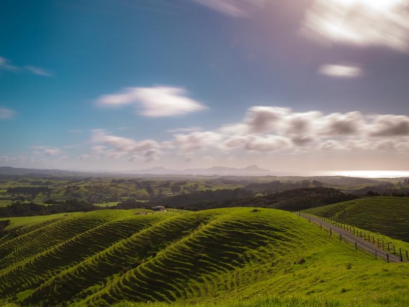 New Zealand