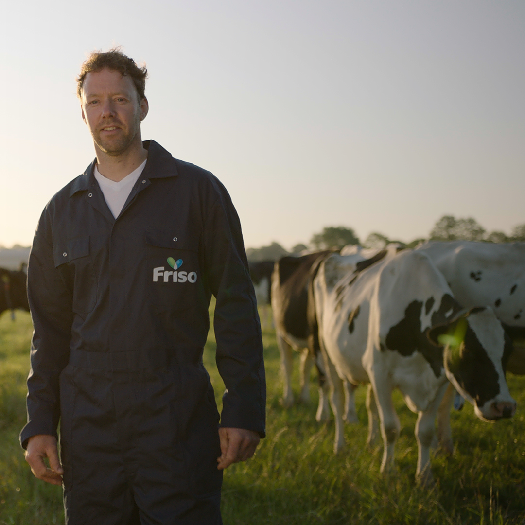 Member dairy farmer and cows