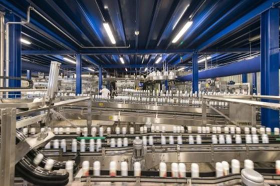 Plant Belgium 